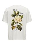 ONSAARAV LIFE OVZ SS TEE cloud dancer