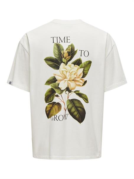 ONSAARAV LIFE OVZ SS TEE cloud dancer