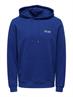 ONSALBERTO NEW LOGO HOODIE SWEAT sodalite blue