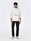 ONSAPOH LIFE RLX SWEAT HOODIE white