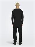 ONSBENNE LONGY LS TEE VD black