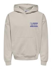 ONSBUCK VTG WASHED HOODIE SWEAT moonbeam