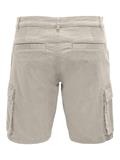 ONSCAM STAGE CARGO SHORTS 6689 LIFE NOOS silver lining
