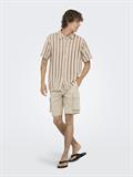 ONSCAM STAGE CARGO SHORTS 6689 LIFE NOOS silver lining