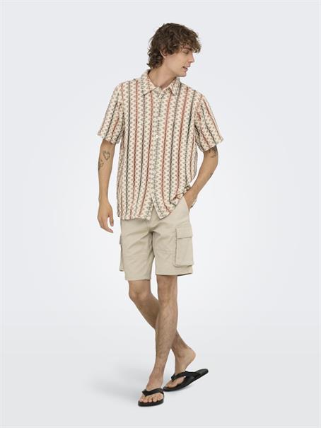 ONSCAM STAGE CARGO SHORTS 6689 LIFE NOOS silver lining