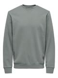 ONSCERES CREW NECK NOOS castor gray