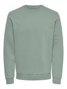 ONSCERES CREW NECK NOOS iceberg green