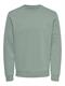 ONSCERES CREW NECK NOOS iceberg green