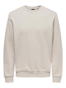 ONSCERES CREW NECK NOOS silver lining