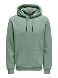 ONSCERES HOODIE SWEAT NOOS grau2