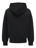ONSDAN LIFE RLX HEAVY ZIP HOODIE NOOS black