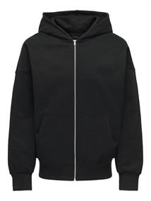 ONSDAN LIFE RLX HEAVY ZIP HOODIE NOOS black