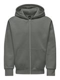 ONSDAN LIFE RLX HEAVY ZIP HOODIE NOOS castor gray