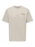 ONSFRED LIFE RLX SS PRINT TEE NOOS silver lining