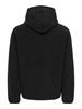 ONSHUNTER RLX LS FLEECE HOODIE black