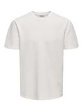 ONSKIAN LIFE REG SEERSUCKER SS TEE NOOS cloud dancer
