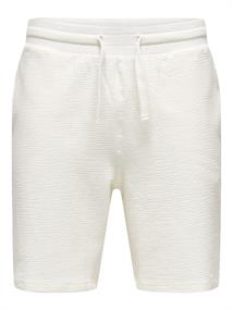 ONSKIAN LIFE STRAIGHT SEERS. SHORTS NOOS cloud dancer