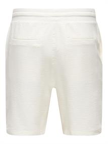 ONSKIAN LIFE STRAIGHT SEERS. SHORTS NOOS cloud dancer