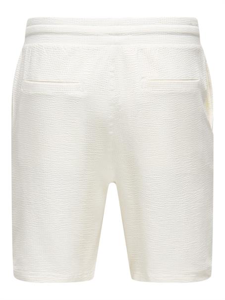 ONSKIAN LIFE STRAIGHT SEERS. SHORTS NOOS cloud dancer