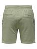 ONSKIAN LIFE STRAIGHT SEERS. SHORTS NOOS seagrass