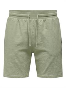 ONSKIAN LIFE STRAIGHT SEERS. SHORTS NOOS seagrass