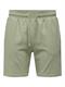 ONSKIAN LIFE STRAIGHT SEERS. SHORTS NOOS seagrass