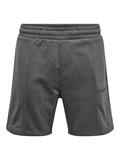 ONSLES CLASSIQUES REG PIN TUCK SHORTS grey pinstripe
