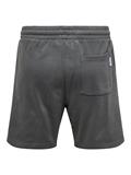 ONSLES CLASSIQUES REG PIN TUCK SHORTS grey pinstripe