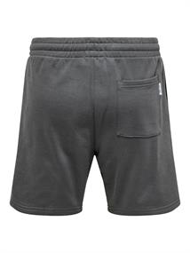 ONSLES CLASSIQUES REG PIN TUCK SHORTS grey pinstripe