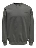 ONSLES CLASSIQUES RLX CREWNECK grey pinstripe