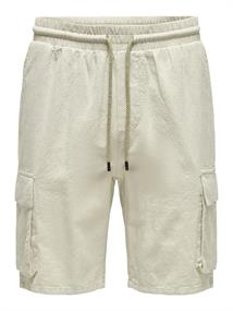 ONSSINUS CARGO 0007 COT LIN SHORTS silver lining