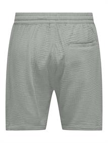 ONSTEL-PAS 0158 SHORTS wrought iron