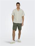 ONSTREV LIFE REG STRIPE SS SHIRT NOOS seagrass