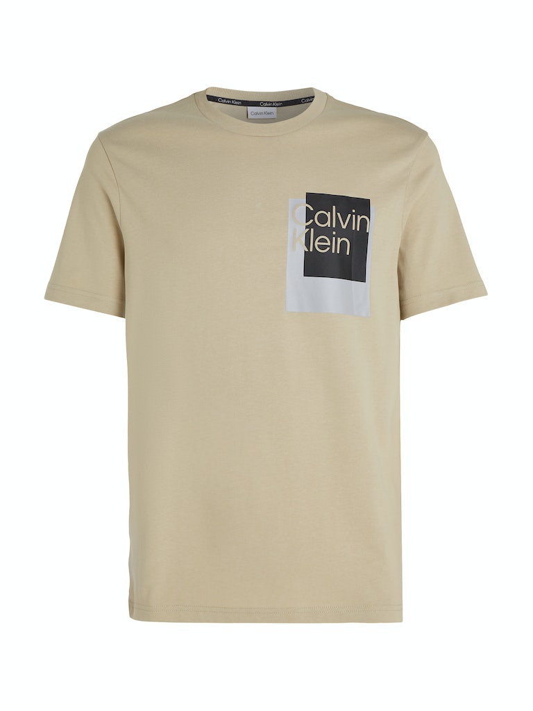 Calvin Klein Herren T-Shirt OVERLAY BOX LOGO T-SHIRT eucalyptus 
