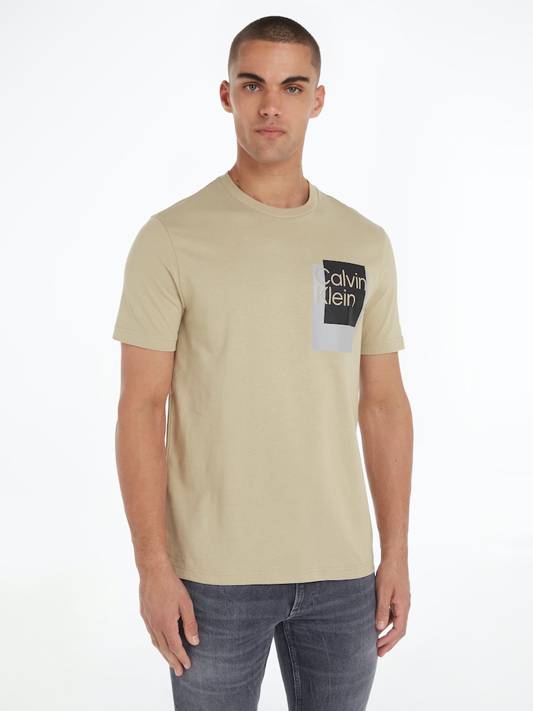 Calvin Klein Herren T-Shirt OVERLAY BOX LOGO T-SHIRT eucalyptus 