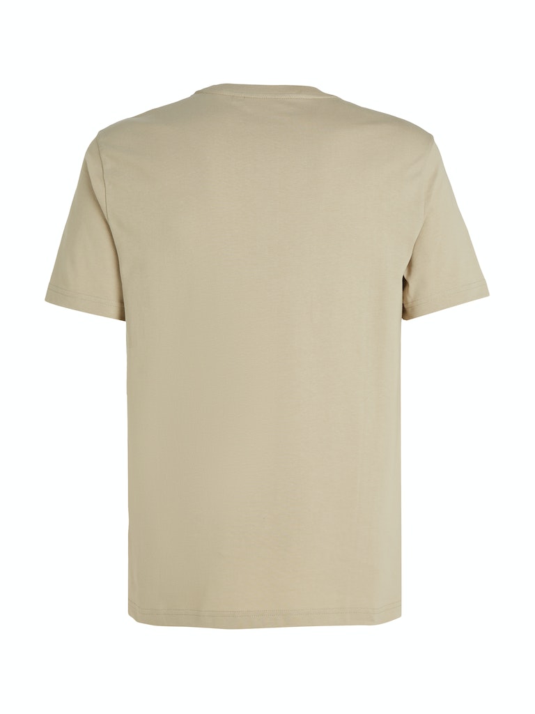 Calvin Klein Herren T-Shirt OVERLAY BOX LOGO T-SHIRT eucalyptus 