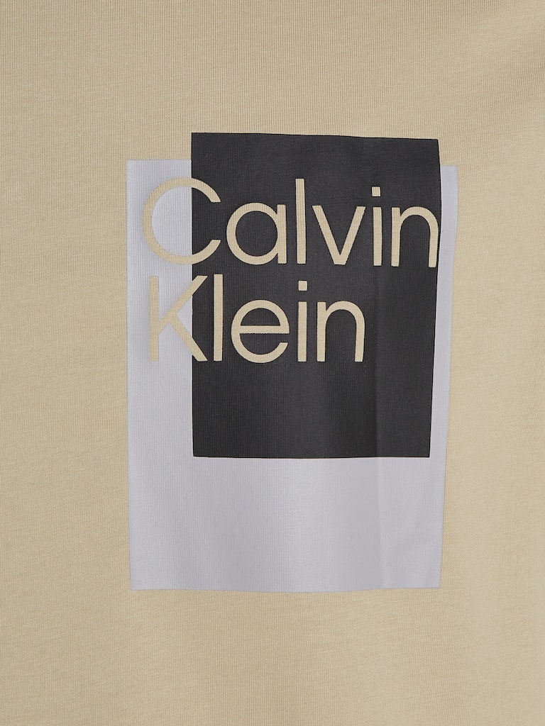 Calvin Klein Herren T-Shirt OVERLAY BOX LOGO T-SHIRT eucalyptus 