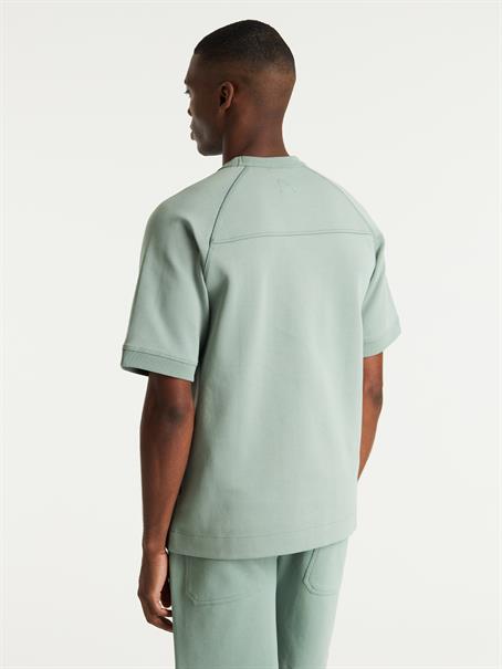 PACER iceberg gree