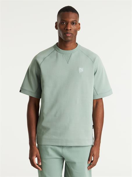 PACER iceberg gree