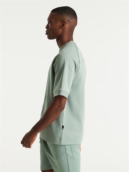 PACER iceberg gree