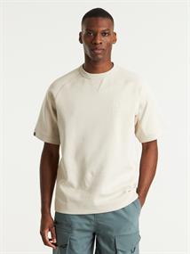 PACER silver linin