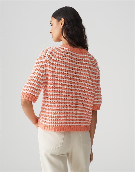 palvadora-pale-orange