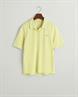 pastel lime