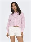 pink lady