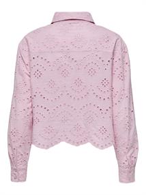 pink lady