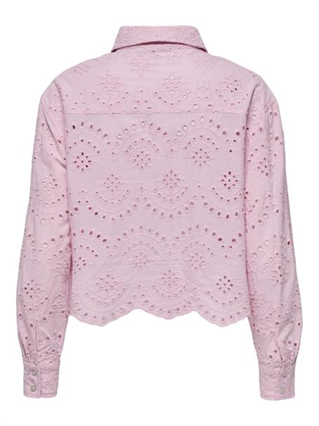 pink lady