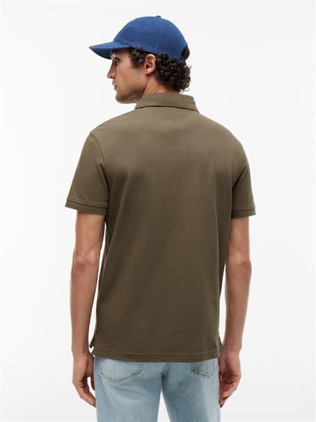 platinum olive