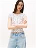 pointelle aop