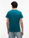 polar teal