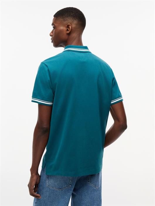 polar-teal